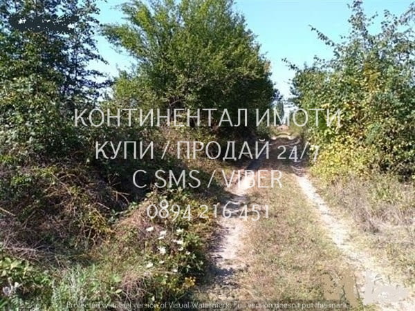 Код 63130. Ъглово дворно място 830м2, близо до борова горичка в селото. Парцела е равен, подходящ за - снимка 3