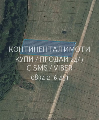 Код 63131. Нива 5500м2 сега засята с лешници - италиански сортове.Земята разполага със сондаж и изг - снимка 1