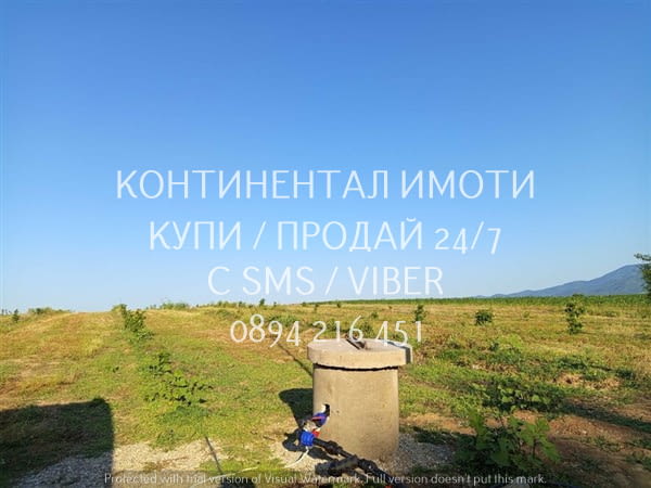 Код 63131. Нива 5500м2 сега засята с лешници - италиански сортове.Земята разполага със сондаж и изг - снимка 4