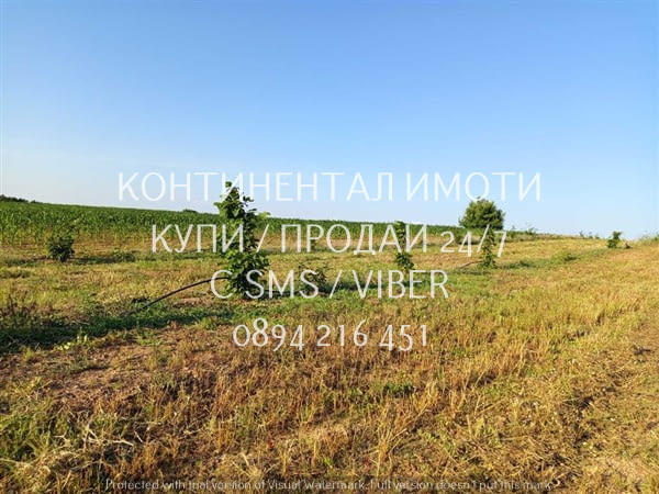 Код 63131. Нива 5500м2 сега засята с лешници - италиански сортове.Земята разполага със сондаж и изг - снимка 6