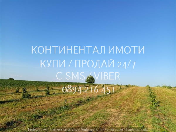 Код 63131. Нива 5500м2 сега засята с лешници - италиански сортове.Земята разполага със сондаж и изг - снимка 7