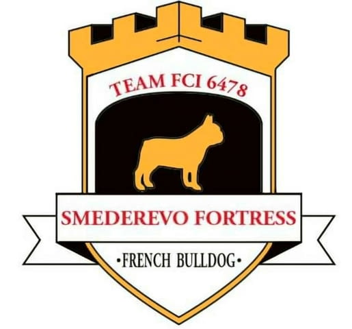 Френски булдог – красиви кученца Ваксинирано - Да, Обезпаразитено - Да - град Извън България | Кучета - снимка 7