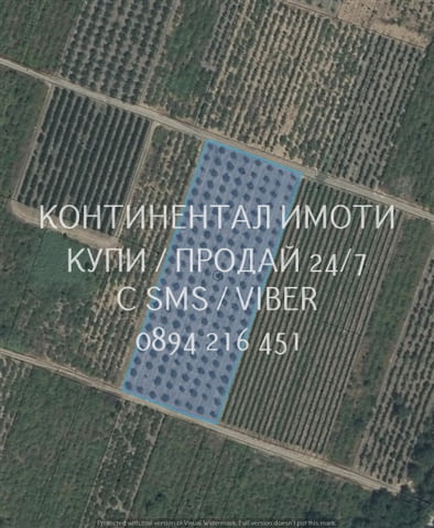 Код 63015. Черешова градина 7 дка в силата си със статут на нива с правоъгълна форма и лице по 50м н - снимка 1