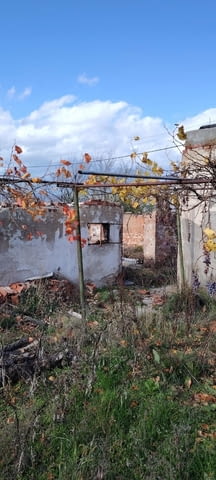 Стара къща с лятна кухня и голям парцел-с. Долно Сираково, обл.Хасково - снимка 5