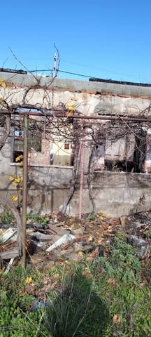 Стара къща с лятна кухня и голям парцел-с. Долно Сираково, обл.Хасково - снимка 6