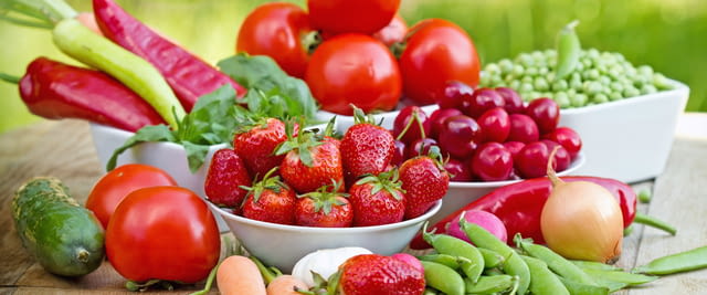 БАЛКАН БИОСЕРТ – сертификация за биоземеделие и животновъдство - снимка 3