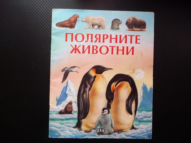 Полярните животни детска красиви рисунки бяла мечка пингвини морски лъв овцебик морж тюлени сова пан - снимка 1