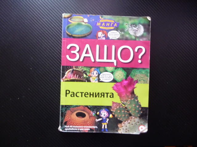 Защо? Растенията комикс забавно запознаване децата със света дървета храсти цветя водорасли билки фл - снимка 1