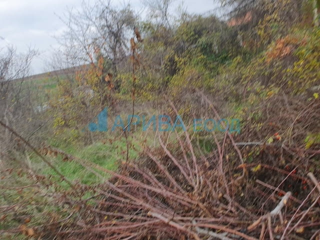 Празен урегулиран парцел УПИ в Кекличево стопанство Хасково, city of Haskovo - снимка 2