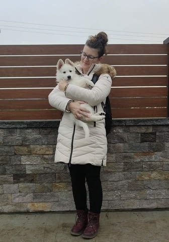 Бял швейцарски овчар – Кученца Другa, Vaccinated - Yes, Dewormed - Yes - city of Izvun Bulgaria | Dogs - снимка 6