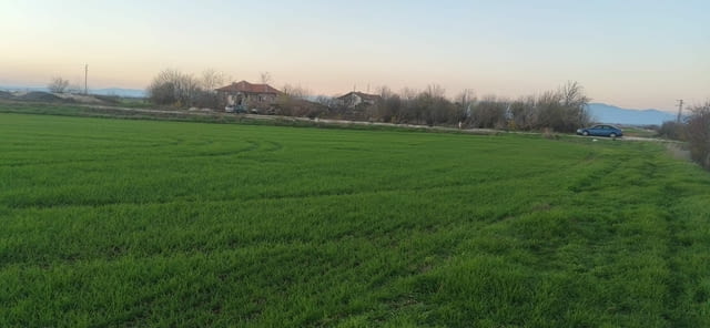 Продаваме парцел в с. Голям чардак 1000 м2, За жил.строителство, За пром.строителство - село Голям чардак | Парцели / Земя - снимка 2