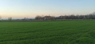 Продаваме парцел в с. Голям чардак 1000 м2, За жил.строителство, За пром.строителство – село Голям чардак | Парцели / Земя Продаваме парцел в с. Голям чардак 1000 м2, За жил.строителство, За пром.строителство – село Голям чардак | Парцели / Земя