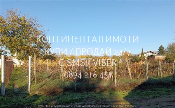 Код 63144. Дворно място 900м2 с добро разположение. В него има 9 реда лозя, десертни и винени сортов - снимка 3