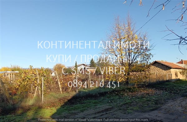 Код 63144. Дворно място 900м2 с добро разположение. В него има 9 реда лозя, десертни и винени сортов - снимка 4