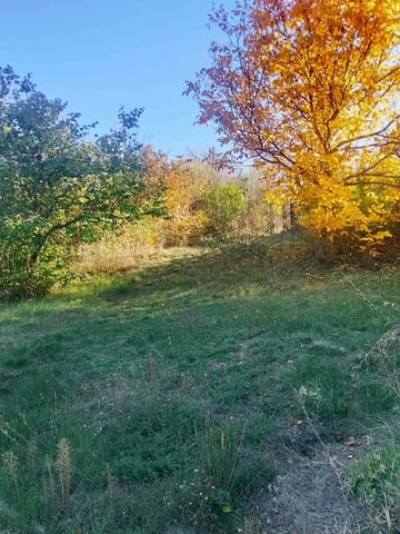 Продава къща в Извор софийско до Сливница - село Извор | Други - снимка 2