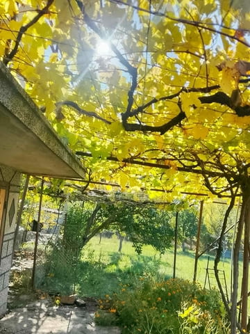 Продава къща в Извор софийско до Сливница - село Извор | Други - снимка 3