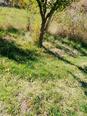 Продава къща в Извор софийско до Сливница - село Извор | Други - снимка 4