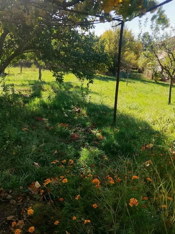 Продава къща в Извор софийско до Сливница - село Извор | Други - снимка 8