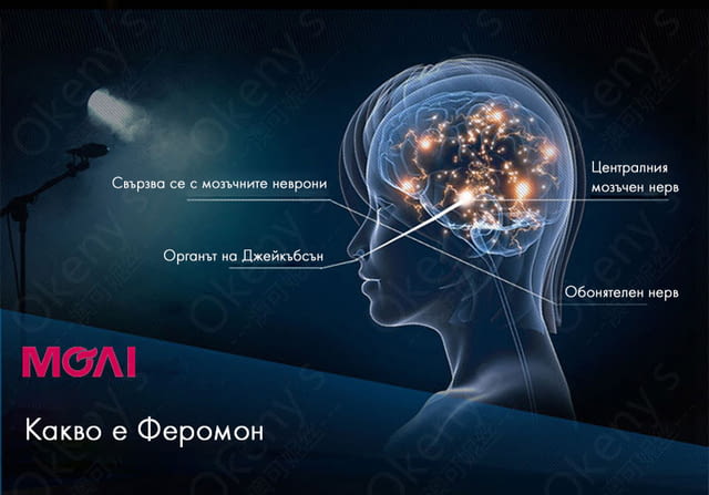 Мъжки парфюм с феромони който привлича жените 30 мл Парфюми с феромони - град София | Sex Shops - снимка 3