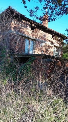 Едноетажна къща с голям двор – с. Златополе, обл.Хасково, village Zlatopolе - снимка 4