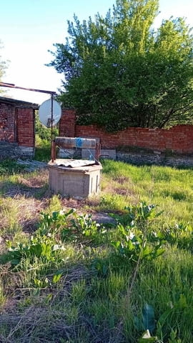 Едноетажна къща с голям двор – с. Златополе, обл.Хасково, village Zlatopolе - снимка 5