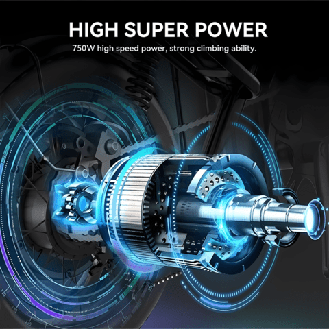 Електрически велосипед/колело RIDING TIMES Z8S 750W 20.8AH, град Разград | Други - снимка 3