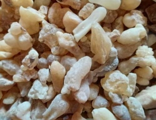 Бял Тамян донесен от ОМАН 100% натурален !!!, град Пловдив | Билкови Продукти - снимка 2