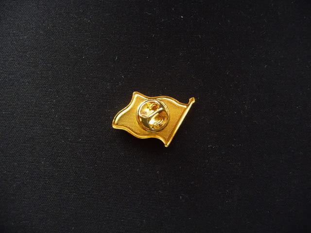 Значка Русия знаме флаг символ държава Москва Кремъл Путин пин ревер фен Огромная Сибир СССР Волга - снимка 3