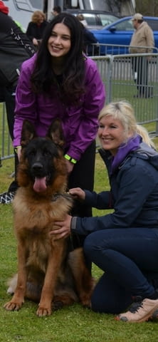 German Shepherd female puppies Другa, 2 месеца - град Извън България | Кучета - снимка 4