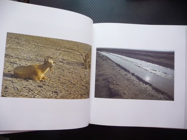 Всичколюбец Николай Ненов фотограф албум снимки фотографии голо тяло портрети пейзажи актова живял р - снимка 7