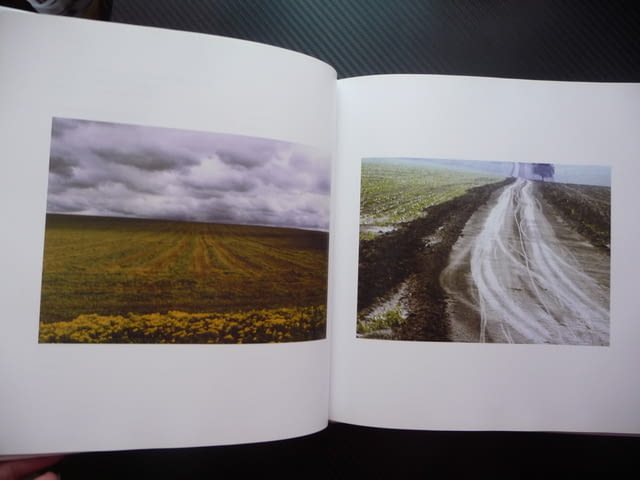 Всичколюбец Николай Ненов фотограф албум снимки фотографии голо тяло портрети пейзажи актова живял р - снимка 8