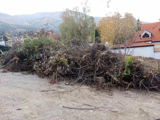 Почистване на терени от храсти и дървета - city of Sofia | Other - снимка 2