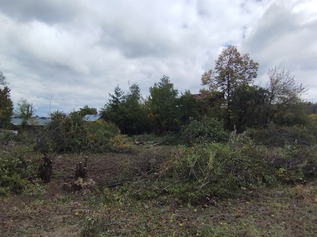 Почистване на терени от храсти и дървета - city of Sofia | Other - снимка 3