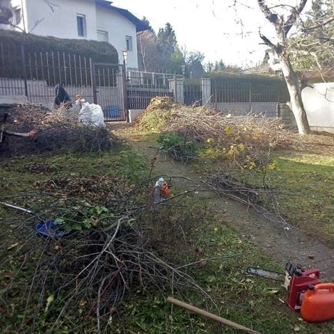 Почистване на терени от храсти и дървета - city of Sofia | Other - снимка 5
