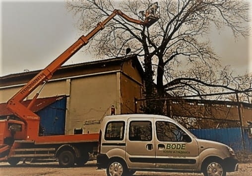 Резитба на овошки и дървета - city of Sofia | Other - снимка 2