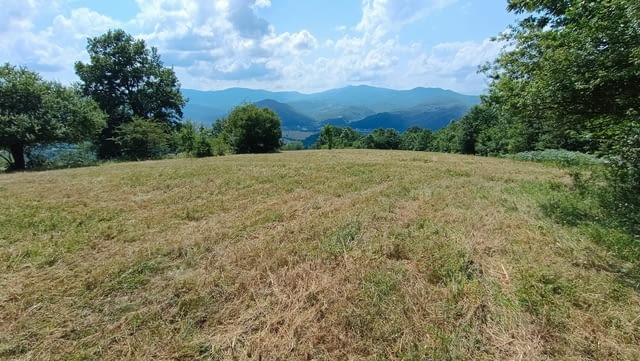 Продава, Зем. земя (ливада), Етрополе (Кленов рът), 25.571 дка, 50 000 Е - снимка 4