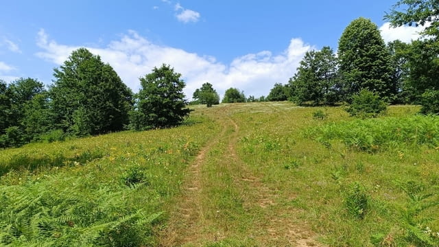 Продава, Зем. земя (ливада), Етрополе (Кленов рът), 25.571 дка, 50 000 Е - снимка 5