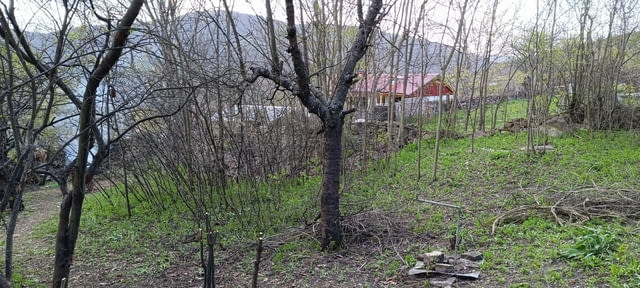 Продавам, Парцел, с Петрич, общ. Златица, махала Бодят, 350 кв.м., УПИ, 14 000 Е - снимка 4