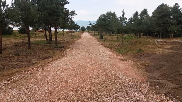 Парцел със сменен статут на Брега на яз.Батак Цигов чарк Топ място Топ Гледка - снимка 3