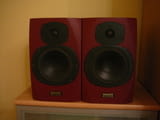 Tannoy reveal monitorni