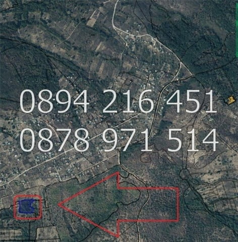 Кодг 61450. Панорамна към Тракийската низина гора 5дка във ВЗ ВОДЕН КАМЪК. Гората /дървопроизводител - снимка 6