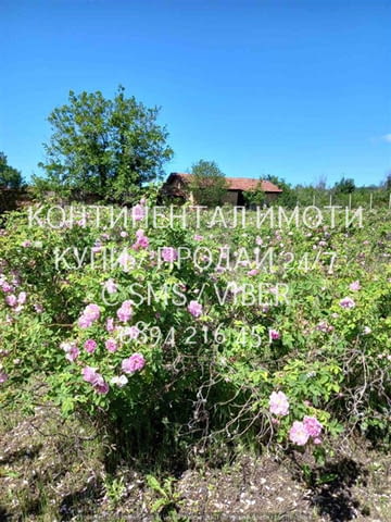 Код 63147. Едноетажна тухлена къща 60м2 с голям двор 2100м2. Към къщата има и допълнителна сграда. И - снимка 4