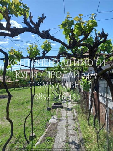 Код 63147. Едноетажна тухлена къща 60м2 с голям двор 2100м2. Към къщата има и допълнителна сграда. И - снимка 6