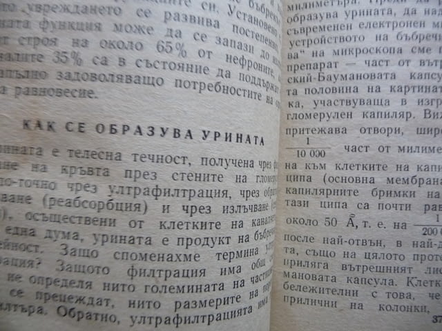 Какво трябва да знаем за бъбреците Никола Шумаров Поредица Здраве урина микроби алкохол тютюн кафе - снимка 3