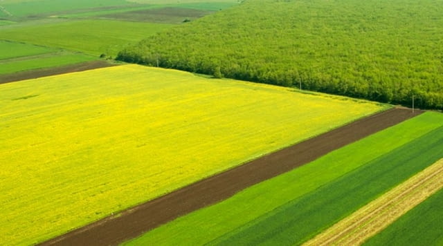 Купувам ЗЕМЕДЕЛСКА ЗЕМЯ всички землища област Враца Land - city of Sofia | Land