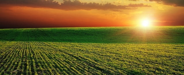 Купувам ЗЕМЕДЕЛСКА ЗЕМЯ всички землища област Хасково - city of Sofia | Land