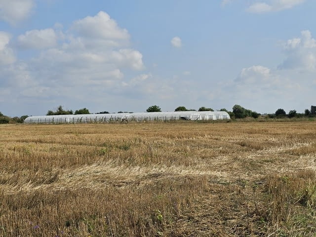 Продавам 24, 860 дка земя в землището на с. Крислово, село Крислово | Парцели / Земя - снимка 7