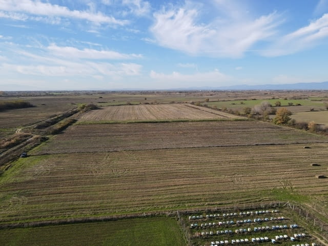 Продавам 24, 860 дка земя в землището на с. Крислово, село Крислово | Парцели / Земя - снимка 8