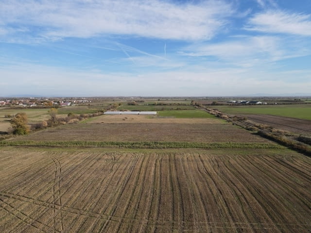 Продавам 24, 860 дка земя в землището на с. Крислово, село Крислово | Парцели / Земя - снимка 9