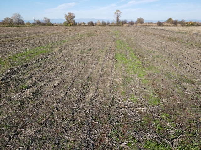 Продавам 24, 860 дка земя в землището на с. Крислово, село Крислово | Парцели / Земя - снимка 10